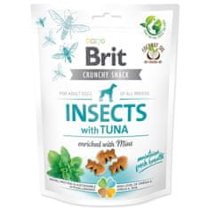 Brit Pochúťka Care Dog Crunchy Cracker Insects, tuniak s mätou 200g