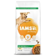 IAMS Krmivo Dog Adult Large Chicken 12kg