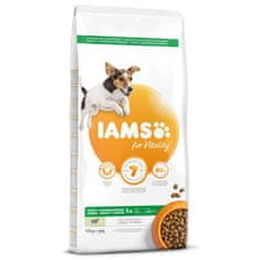 IAMS Krmivo Dog Adult Small & Medium Lamb 12kg