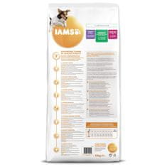 IAMS Krmivo Dog Adult Small & Medium Lamb 12kg