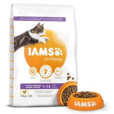 IAMS Krmivo Cat Kitten Chicken 10kg