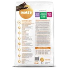 IAMS Krmivo Cat Adult Ocean Fish 10kg