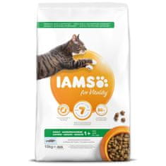 IAMS Krmivo Cat Adult Ocean Fish 10kg