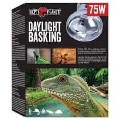 REPTI PLANET Žiarovka Daylight Basking Spot 75W