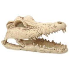 REPTI PLANET Dekorácie Krokodíl lebka 13,8x6,8x6,5cm
