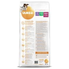 IAMS Krmivo Dog Senior Small & Medium Chicken 12kg