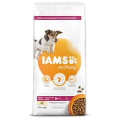 IAMS Krmivo Dog Senior Small & Medium Chicken 12kg