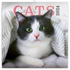 Kalendár 2024 pozn: Mačky- západné kalendárium