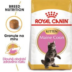 Royal Canin Maine Coon Adult 2 kg