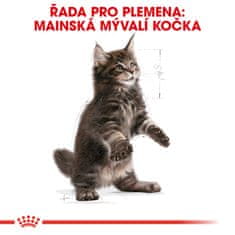 Royal Canin Maine Coon Adult 2 kg