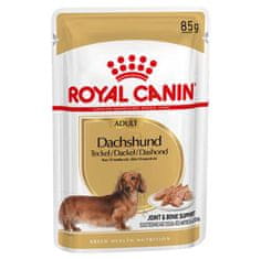 Royal Canin kapsička Jazvečík 12 x 85 g