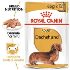 Royal Canin Dachshund, 12x85g