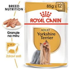 Royal Canin Yorkshire Loaf paštéta 12 x 85 g