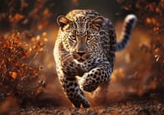 Trefl Puzzle Premium Plus Photo Odyssey: Divoký leopard 1000 dielikov