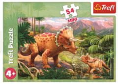 Trefl Displej Puzzle Úžasní dinosaury 54 dielikov (40 ks)