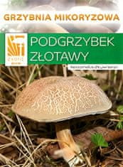 PLANTO Suchohríb plstnatý (Xerocomus subtomentosus) - mykorízne mycélium PO-SM-HP