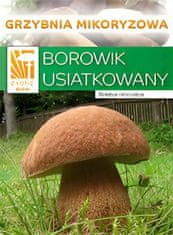 PLANTO Hríb dubový (Boletus reticulatus) - mykorízne mycélium PO-SM-HD