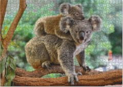 Dodo Toys Puzzle Koala s mláďaťom 1000 dielikov