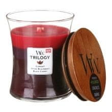 Woodwick WoodWick - Sun Ripened Berries Trilogy Vase (berry ripening in the sun) - Scented candle 275.0g 