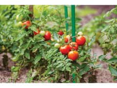 GARDEN LINE Povlakovaná tyčka pre rastliny, podpora pre paradajky 16mm/120 cm 10 szt