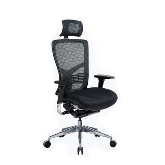 Dalenor Ergonomická kancelárska stolička Tech Pro, sieťovina, čierna