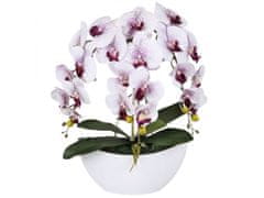 sarcia.eu Umelá orchidea v kvetináči, bielo-fialová, ako živá, 3 stonky 53 cm 