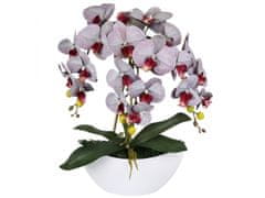 sarcia.eu Umelá orchidea v kvetináči, šedá, ako živá, 3 stonky 53 cm 