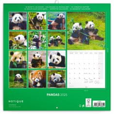 Notique Poznámkový kalendár Pandy 2025, 30 x 30 cm