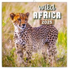 Notique Poznámkový kalendár Divoká Afrika 2025, 30 x 30 cm