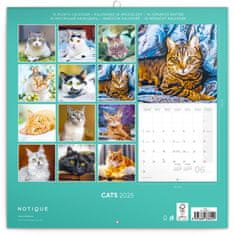 Notique Poznámkový kalendár Mačky 2025, 30 x 30 cm