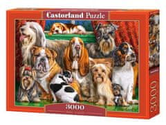 Castorland Puzzle - Psí klub 3000 dílkú