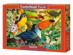 Castorland Puzzle - Tukani 3000 dílkú