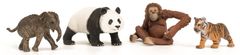 Schleich 42736 Wild Life Asie štartovacia sada