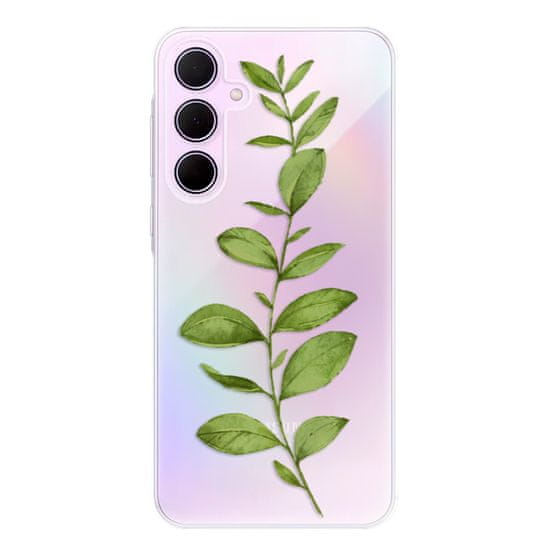 iSaprio Silikónové puzdro - Green Plant 01 pre Samsung Galaxy A55 5G