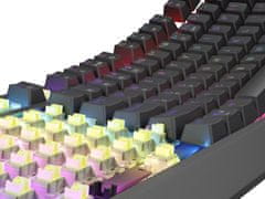 Genesis herná klávesnica THOR 230/TKL/RGB/Outemu Silent Lemon/Bezdrôtová USB + Bluetooth/US layout/Č