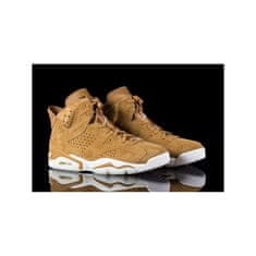 Nike Obuv hnedá 44 EU Jordan VI Retro Wheat Pack