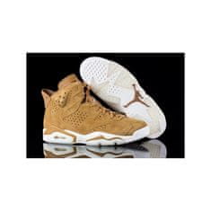 Nike Obuv hnedá 44 EU Jordan VI Retro Wheat Pack