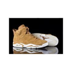 Nike Obuv hnedá 44 EU Jordan VI Retro Wheat Pack