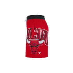 Nike Nohavice červená 183 - 187 cm/L Nba Chicago Bulls Courtside 75