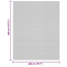 Vidaxl Kempingová podložka bledosivá 4x2 m