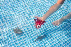 BS Toys Morské zvieratá pre malých potápačov - hra do vody