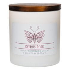 Colonial Candle Sviečka dekoratívny valec , Citrusová ruža, 453 g