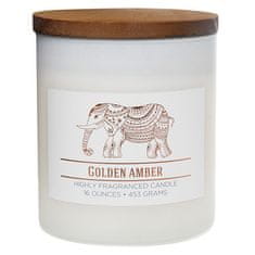 Colonial Candle Sviečka dekoratívny valec , Zlatá ambra, 453 g
