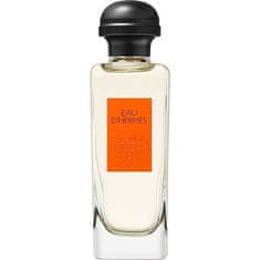 Hermès Eau D`Hermès - EDT - TESTER 100 ml