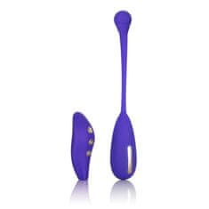 CalExotics Impulse E-stim Remote Kegel Exerciser