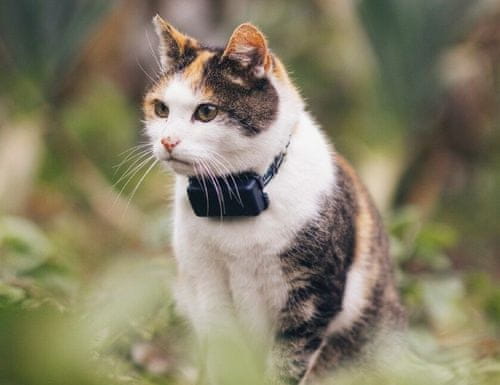 Tractive GPS CAT Mini GPS tracker pro kočky čičičí gps univerzální gps oboje pro kočky kontrola pohybu sledování aktivity sledování v reálném čase doprovodná aplikace virtuální ploty nepřetržité sledování polohy bezpečnostní obojem odolná gps pro kočky historie polohy skore kondice monitoring aktivity monitoring spánku dlouhá výdrž baterie