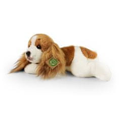 Rappa Plyšový pes cavalier king charles spaniel ležiaci 30 cm ECO-FRIENDLY