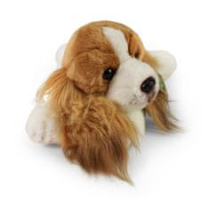 Rappa Plyšový pes cavalier king charles spaniel ležiaci 30 cm ECO-FRIENDLY