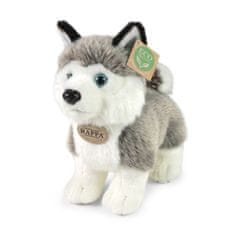 Rappa Plyšový pes husky stojaci 23 cm ECO-FRIENDLY