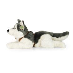 Rappa Plyšový pes husky s postrojom ležiaci 60 cm ECO-FRIENDLY